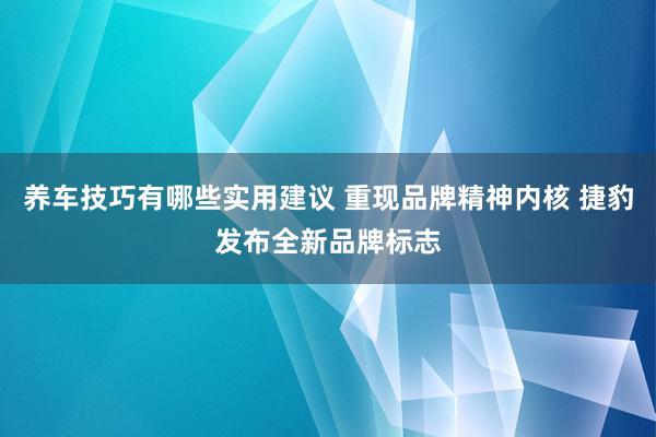 养车技巧有哪些实用建议 重现品牌精神内核 捷豹发布全新品牌标志