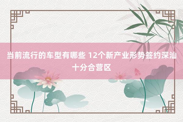 当前流行的车型有哪些 12个新产业形势签约深汕十分合营区